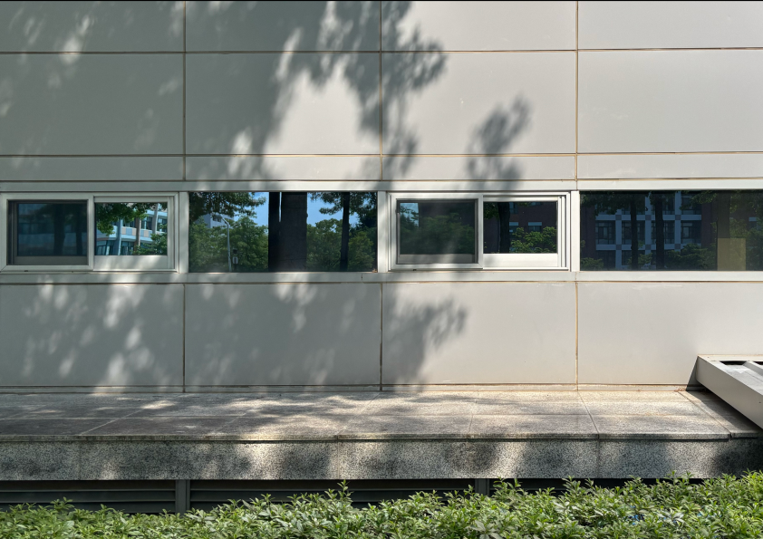 왼쪽으로 나무의 그림자가 가로지르는 미술관의 창문. 밑으로는 초록잔디가 있고 가로로 길쭉하게 이어진 미서기창 형식의 창문에는 반대편 건물과 나무들이 비쳐진다.